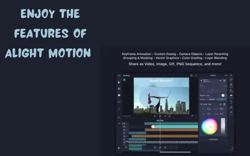 Features of Alight Motion