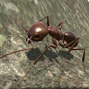 Ant Simulation 3D-Insect Sur