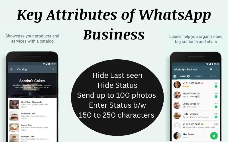 Attributes of WhatsApp Business