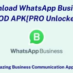 WhatsApp Business MOD APK [v2.22.22.10]