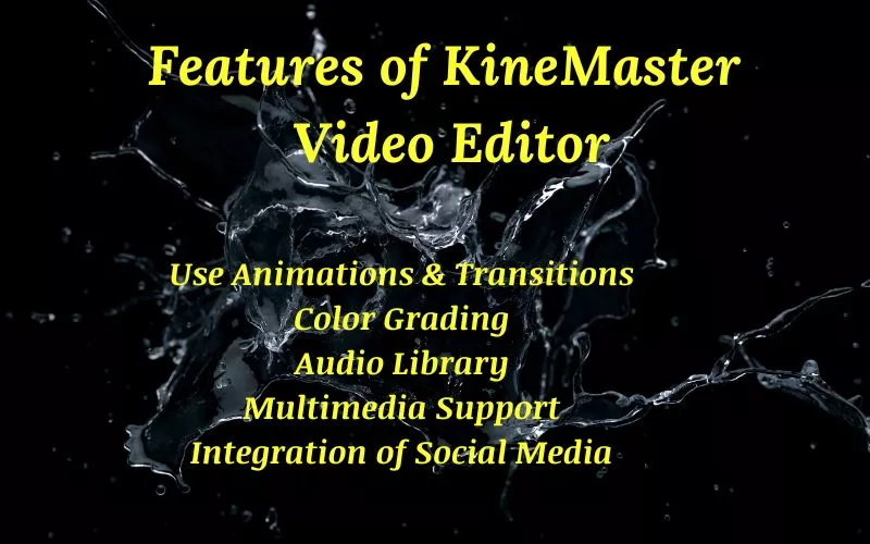 kinemaster mac