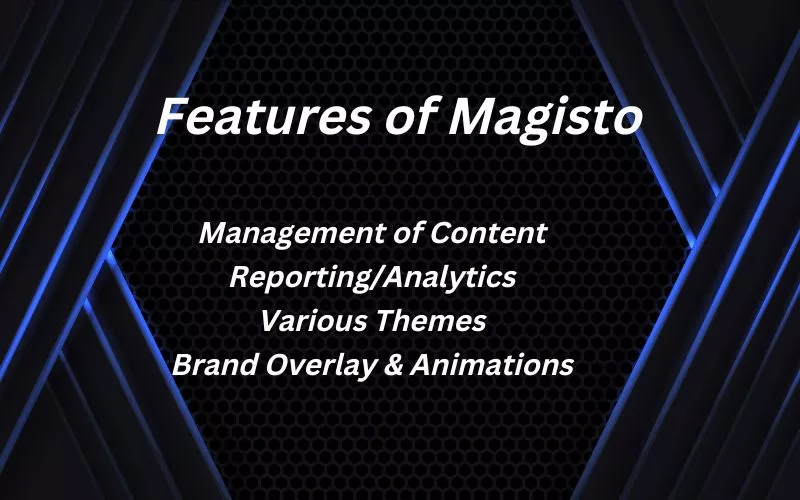 Features of Magisto