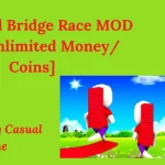 Bridge Race MOD APK v3.9.4 [Free Download]