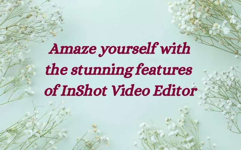 Features of InShot Video Editor