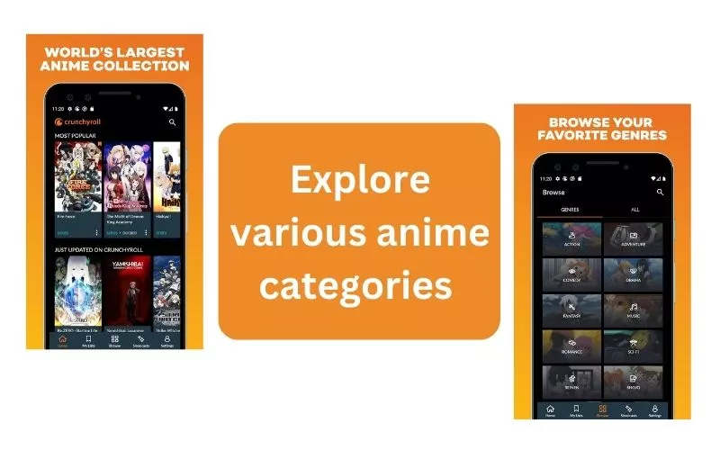 Anime Categories