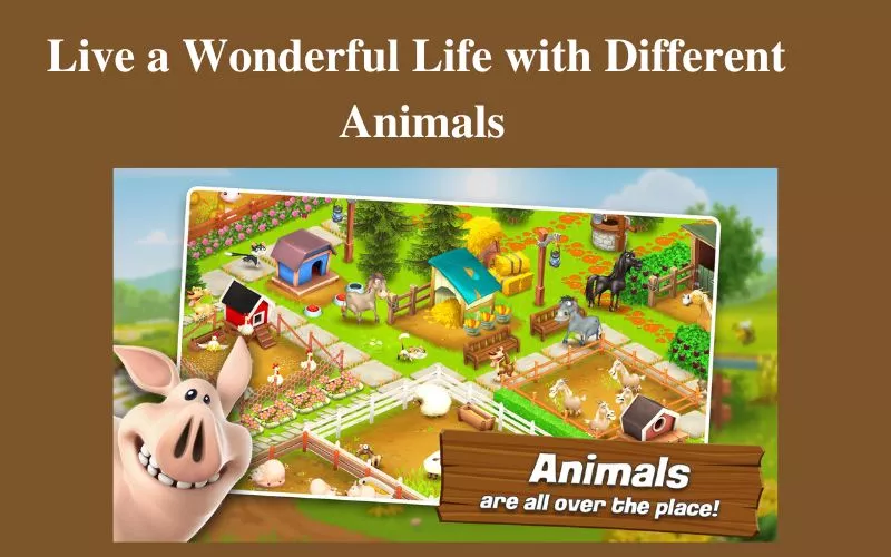 Hay Day Wonderful life