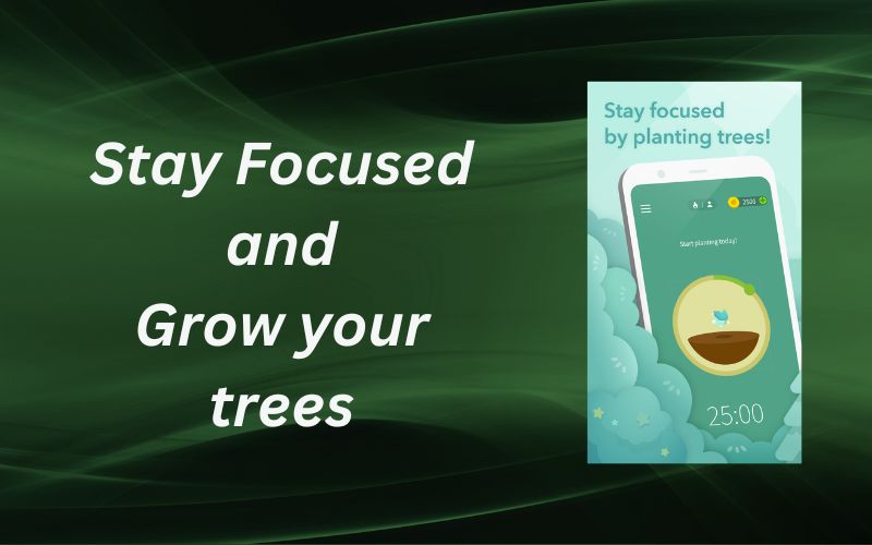 Grow your trees by Forest