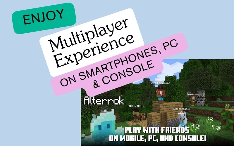 Multiplayer experience