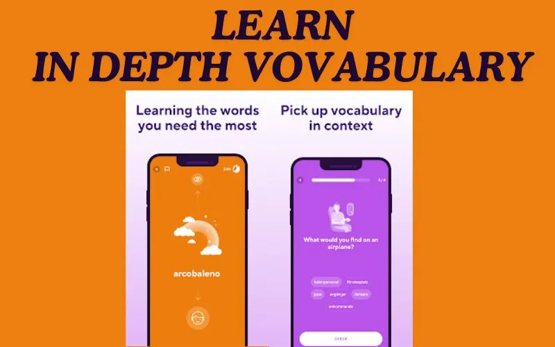 Learn In Depth Vocabulary